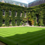 Oxford University - Lincoln College. Image courtesy of Simon Q.