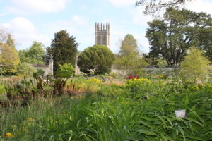 Oxford Botanic Gardens - Image courtesy of Tejvan Pettinger