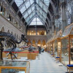 Oxford Museum of Natural History - Image courtesy ofMagnus D