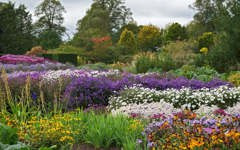 Things to See Near Oxford: Waterperry Gardens. Image courtesy of Ukgardenphotos via Flickr Commons.