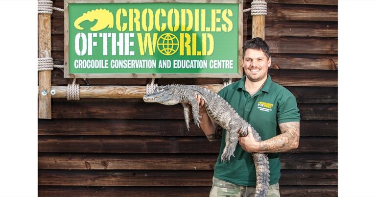 Crocodiles of the World: The UK's Only Crocodile Zoo