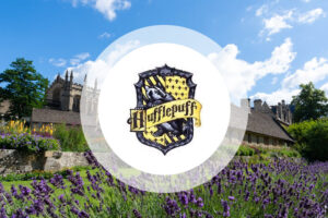 Oxford Hogwarts: Activities for Hufflepuffs