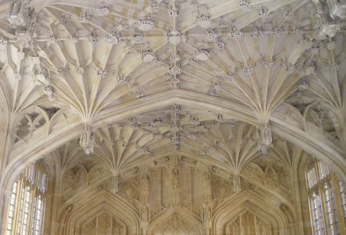 Harry Potter Filming Locations: Divinity School ceilings (the Hogwarts Infirmary). Photo courtesy of James Clark, via Flickr Commons.